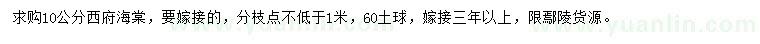 求購10公分西府海棠