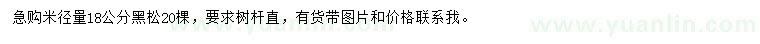 求購米徑量18公分黑松
