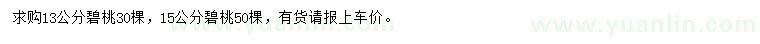 求購13、15公分碧桃