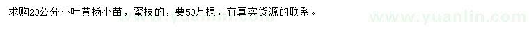 求購20公分小葉黃楊小苗