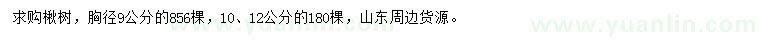 求購9、10、12公分楸樹