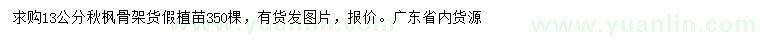 求購13公分秋楓