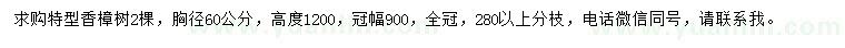 求購胸徑60公分香樟樹