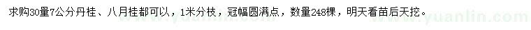 求購30量7公分丹桂、八月桂