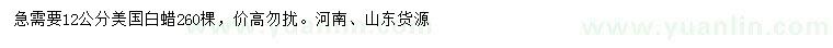 求購12公分美國白蠟