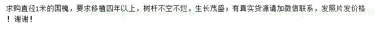 求購1米國槐
