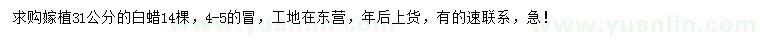 求購31公分白蠟