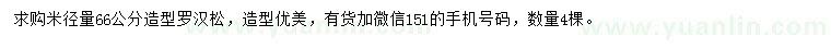 求購(gòu)米徑量66公分造型羅漢松