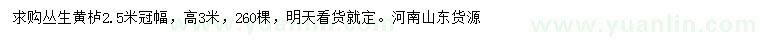 求購冠幅2.5米叢生黃櫨