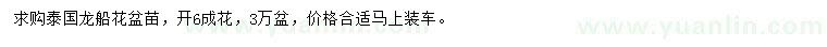 求購泰國龍船花盆苗
