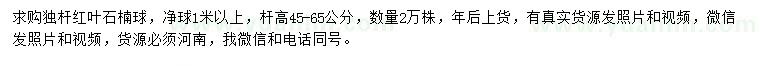 求購(gòu)凈球1米以上獨(dú)桿紅葉石楠球