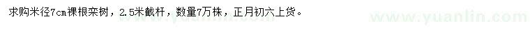 求購米徑7公分欒樹