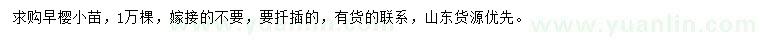 求購(gòu)早櫻小苗