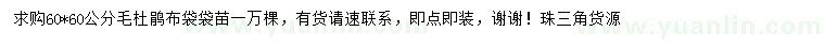 求購60X60公分毛杜鵑