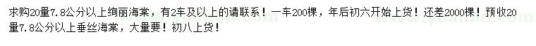 求購(gòu)20量7.8公分以上絢麗海棠、垂絲海棠