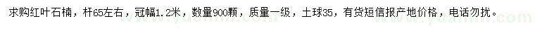 求購冠幅1.2米紅葉石楠