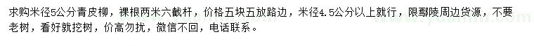 求購米徑5公分青皮柳