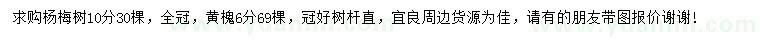 求購10公分楊梅樹、6公分黃槐