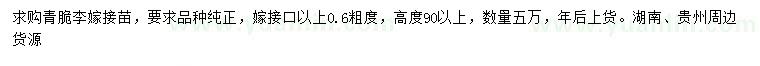 求購高度90公分以上青脆李嫁接苗