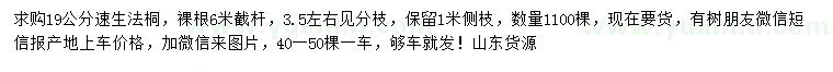 求購19公分速生法桐