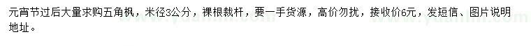 求購米徑3公分五角楓