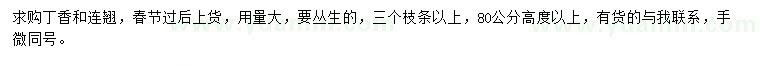 求購高度80公分以上丁香、連翹