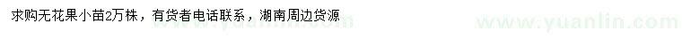 求購無花果小苗