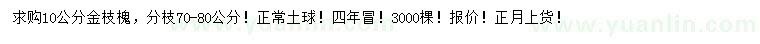 求購10公分金枝槐