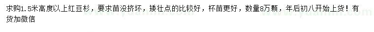 求購高1.5米以上紅豆杉苗
