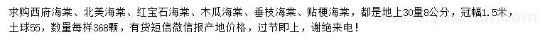 求購西府海棠、北美海棠、紅寶石海棠等