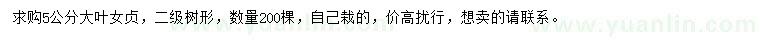 求購5公分大葉女貞