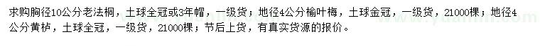 求購老法桐、榆葉梅、黃櫨