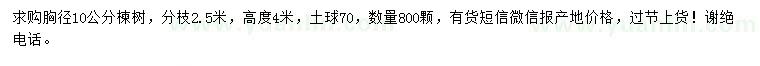 求購胸徑10公分楝樹