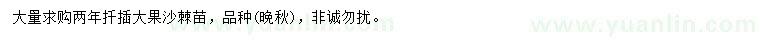 求購兩年扦插大果沙棘苗