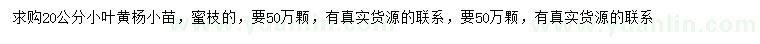 求購20公分小葉黃楊苗