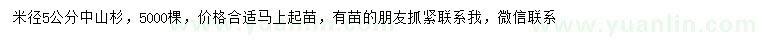 求購米徑5公分中山杉