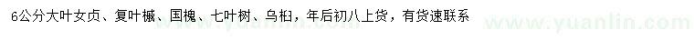 求購(gòu)大葉女貞、復(fù)葉槭、國(guó)槐等