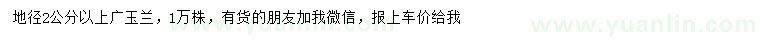 求購地徑2公分以上廣玉蘭