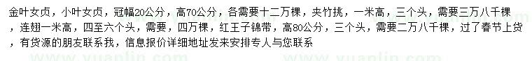 求購金葉女貞、小葉女貞、夾竹挑等