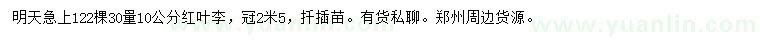 求購30量10公分紅葉李