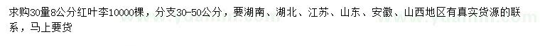 求購30量8公分紅葉李