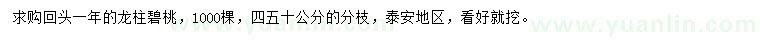 求購龍柱碧桃