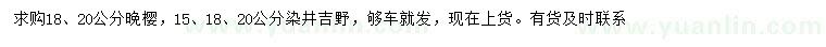 求購18、20公分晚櫻、15、18、20公分染井吉野櫻