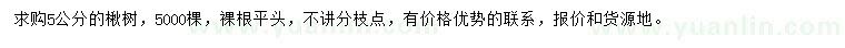 求購5公分楸樹(shù)