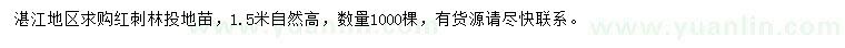 求購自然高1.5米紅刺林投