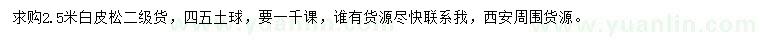 求購2.5米白皮松