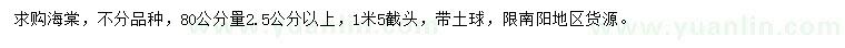 求購80量2.5公分以上海棠
