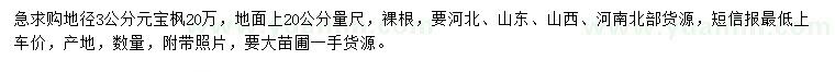 求購地徑3公分元寶楓