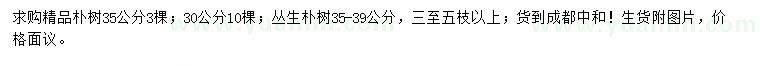 求購30、35公分樸樹、35-39公分叢生樸樹