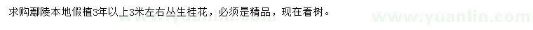 求購(gòu)3米左右叢生桂花